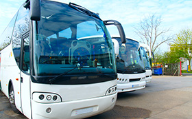 Bus e minibus